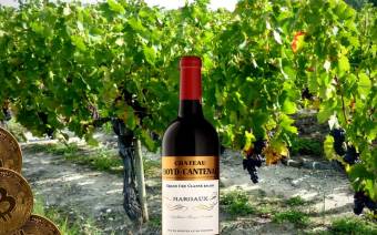 BTC Wine
