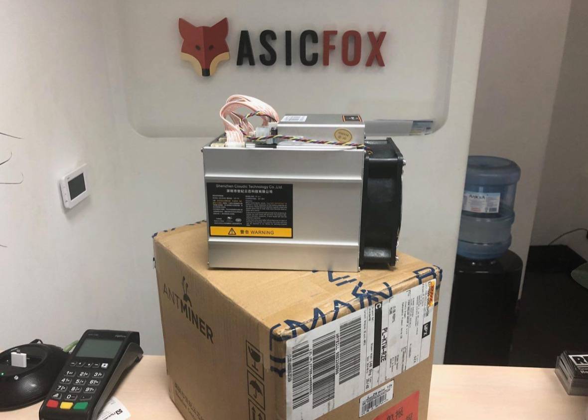 AsicFox